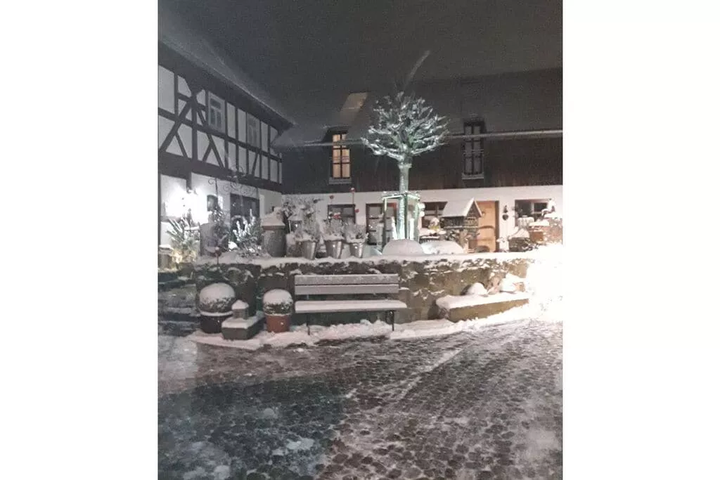 31169-Garden winter