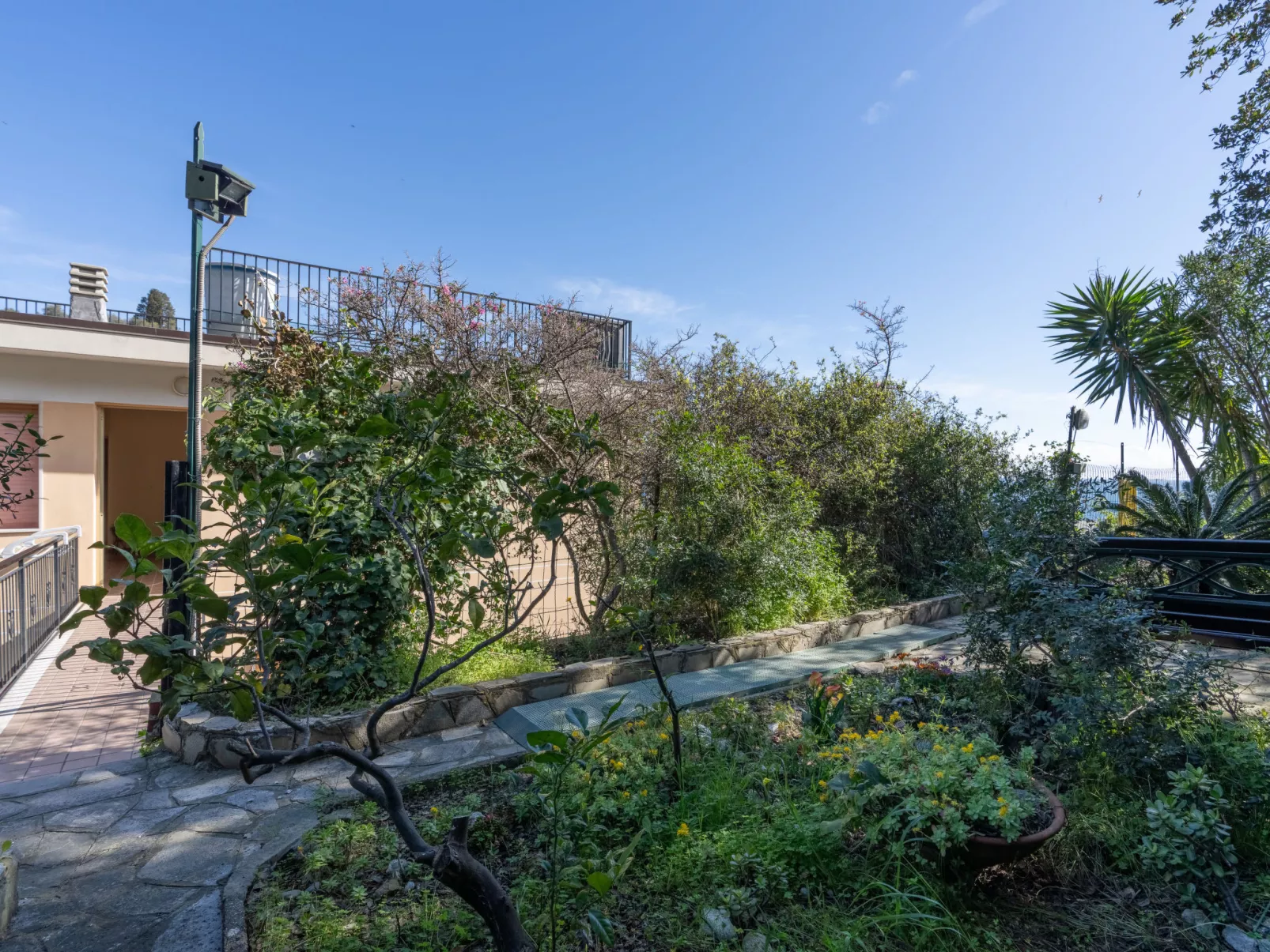 Garden an Seaview-Outside