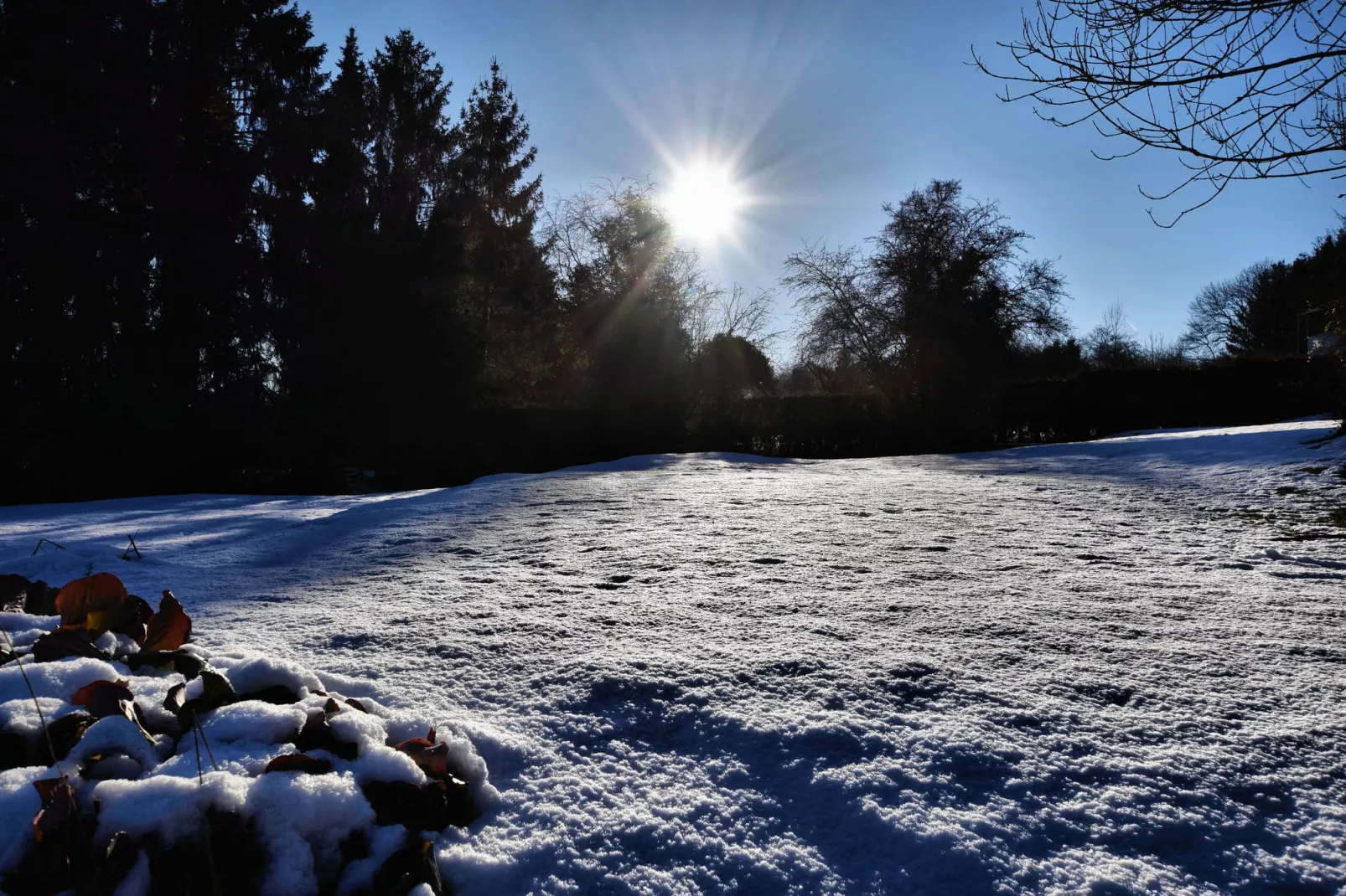 Castarière-Garden winter