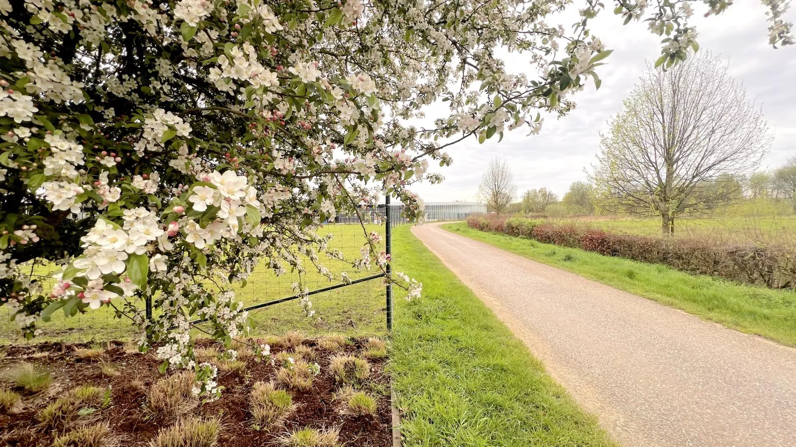 Het Edelhert-View summer