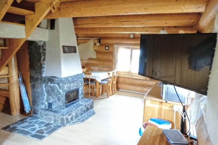 Holiday home in Kopalino-Living room