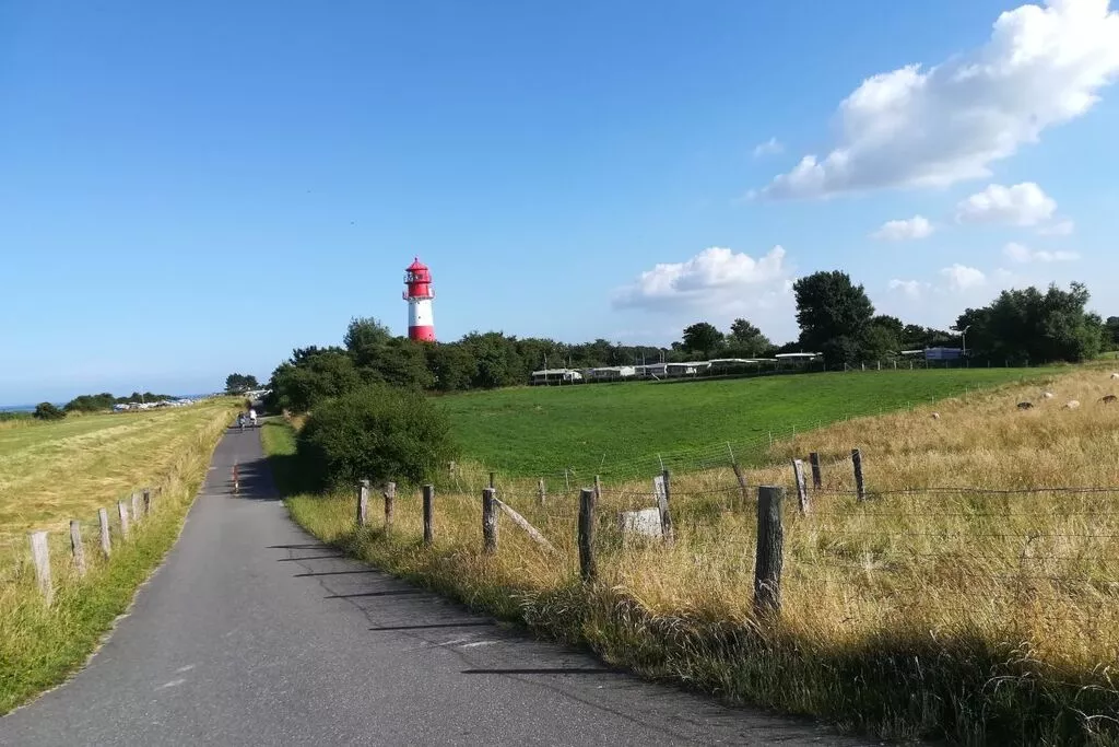 255427-Areas summer 5km