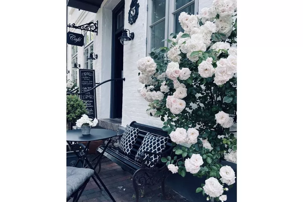 exteriorsummer