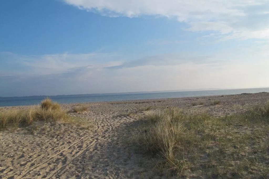 288766-Areas summer 5km