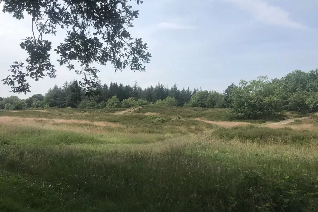 389891-Nicht getaggt
