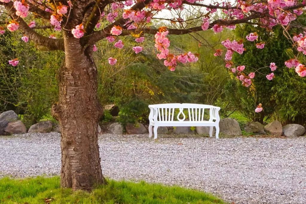 397792-Gardens summer