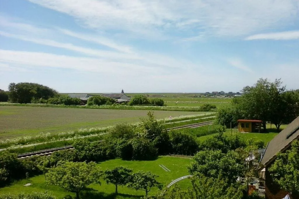 88009-View summer
