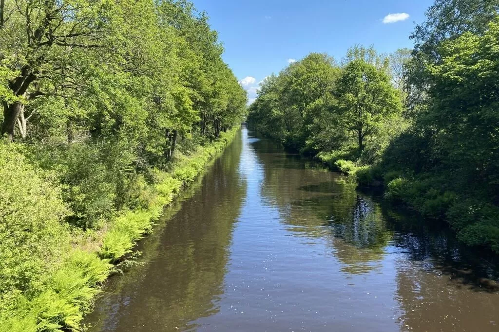 276306-Areas summer 5km