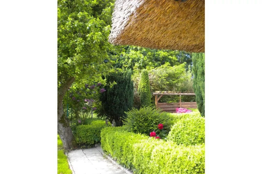241032-Gardens summer