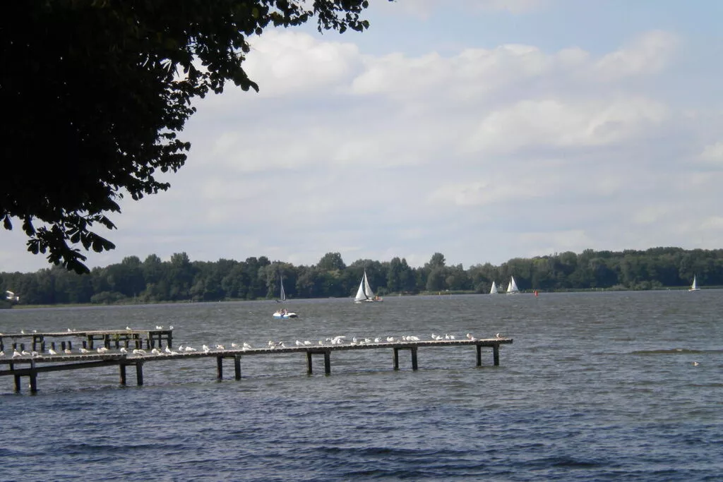 277617-Areas summer 5km