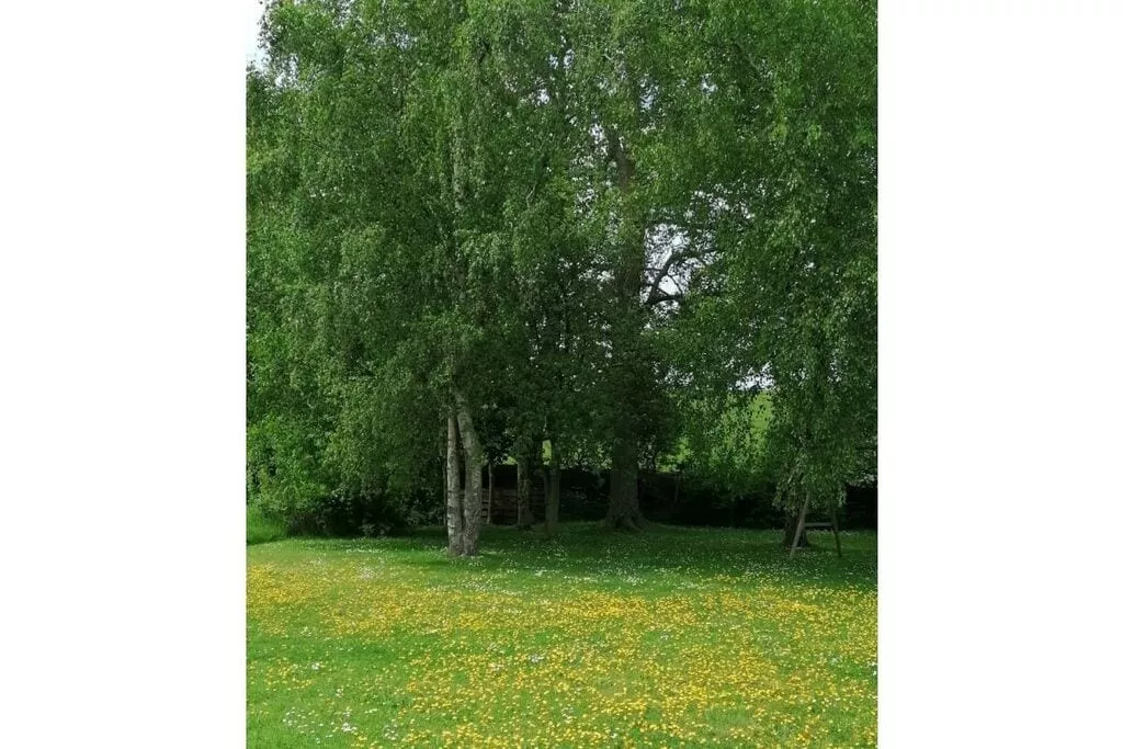 90385-Gardens summer