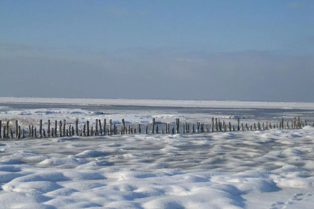 90385-Area winter 5km
