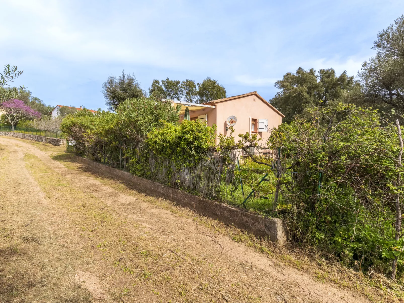 A Vigna-Outside