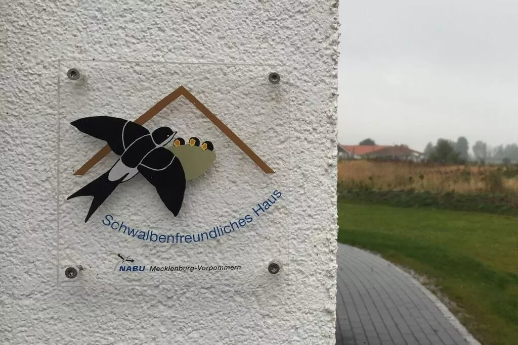 123867-Nicht getaggt