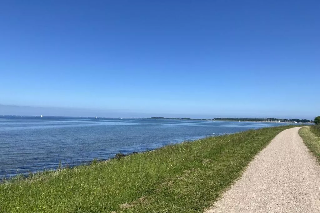 381092-Areas summer 5km