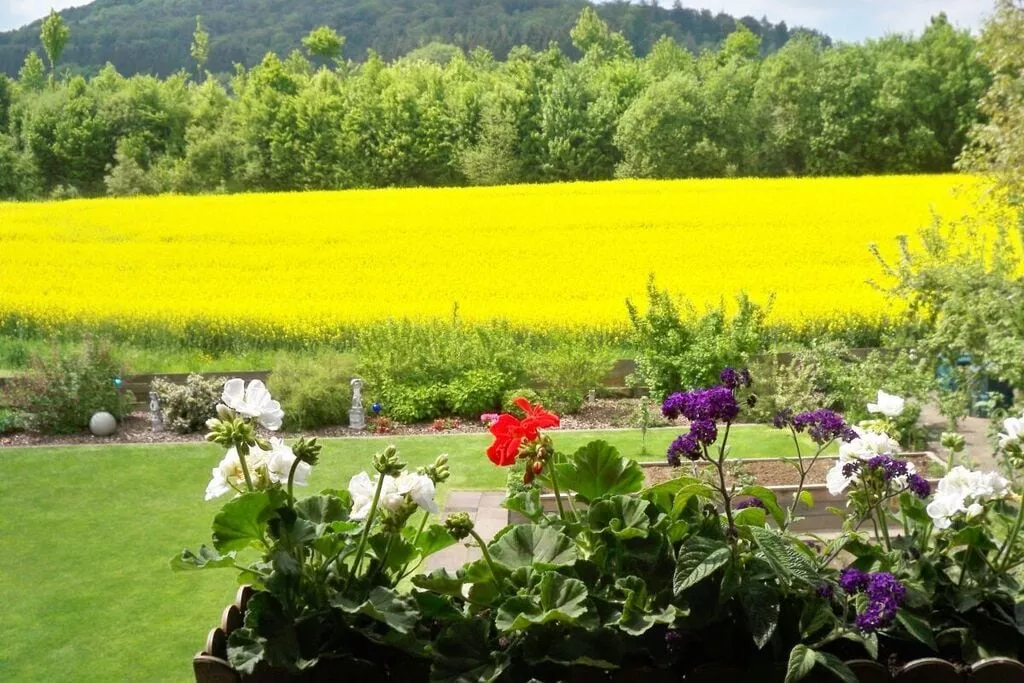 99381-Areas summer 5km