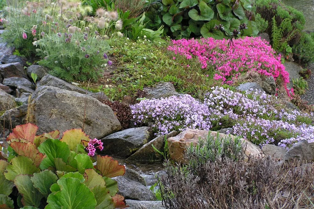 40042-Gardens summer