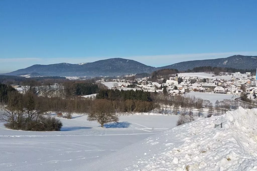 48291-Gebiet Winter 5 km