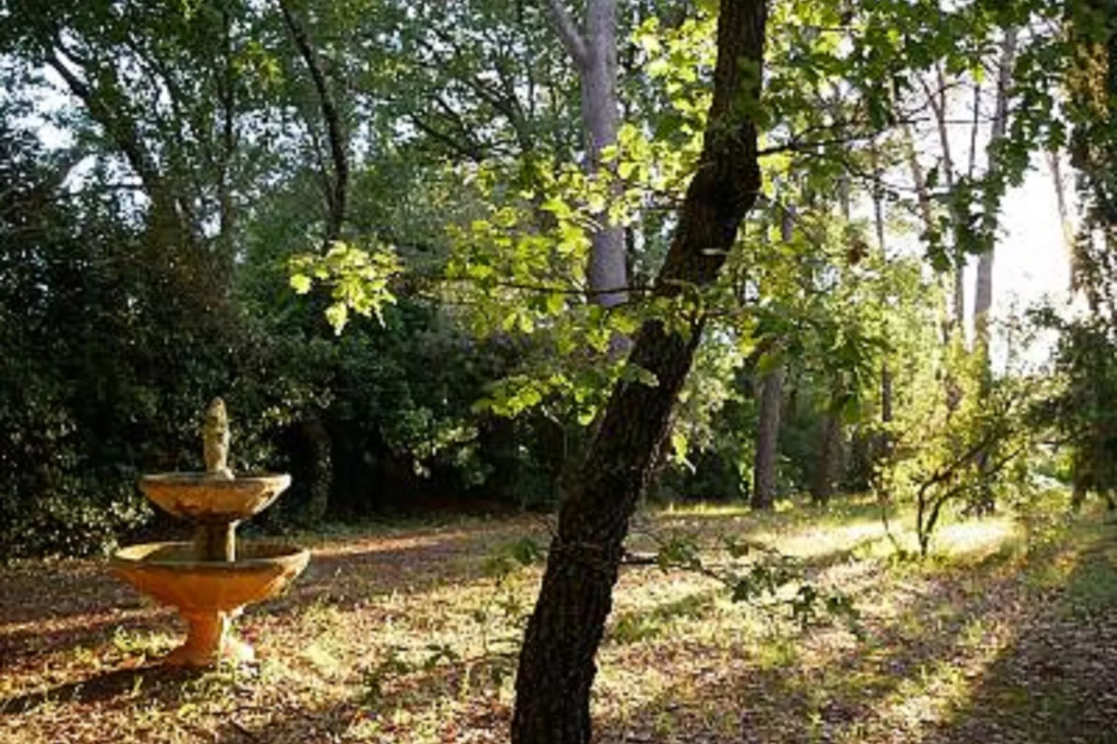 Villa GUIOL-Gardens summer