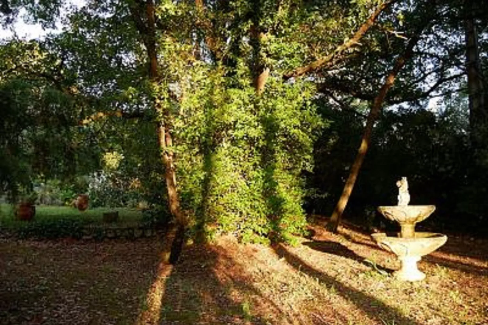 Villa GUIOL-Gardens summer