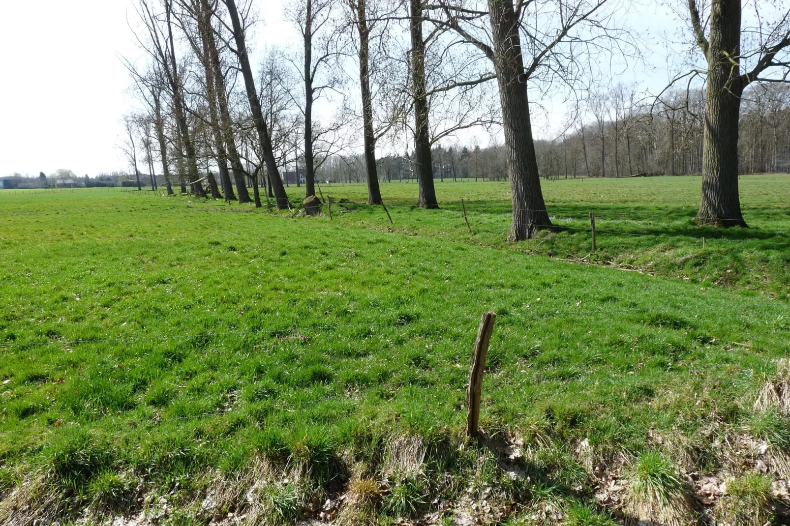 Maison à Aalter avec grand jardin dans un environnement boisé-Zones d'été à 1 km