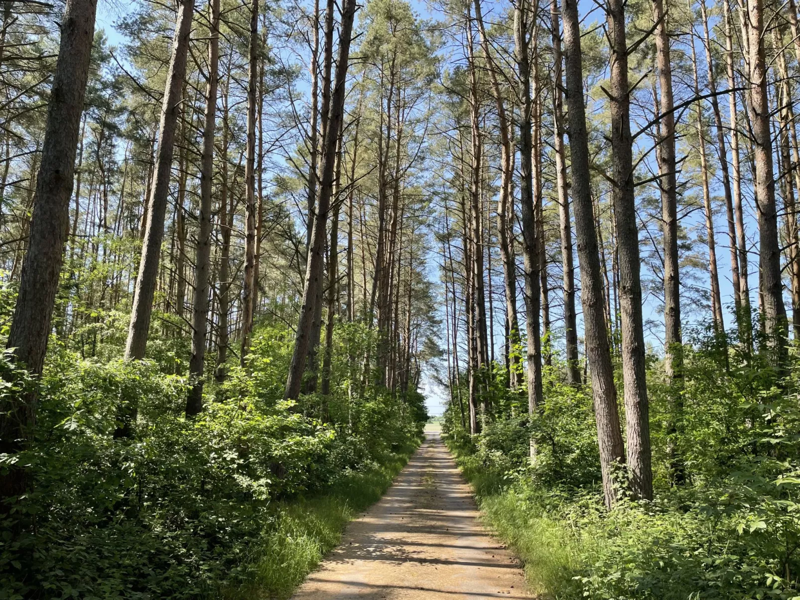 Silz am Fleesensee-Outside
