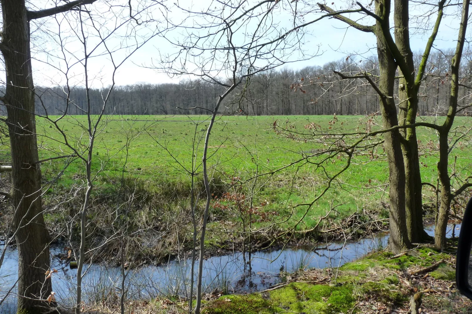 Maison à Aalter avec grand jardin dans un environnement boisé-Zones d'été à 5 km