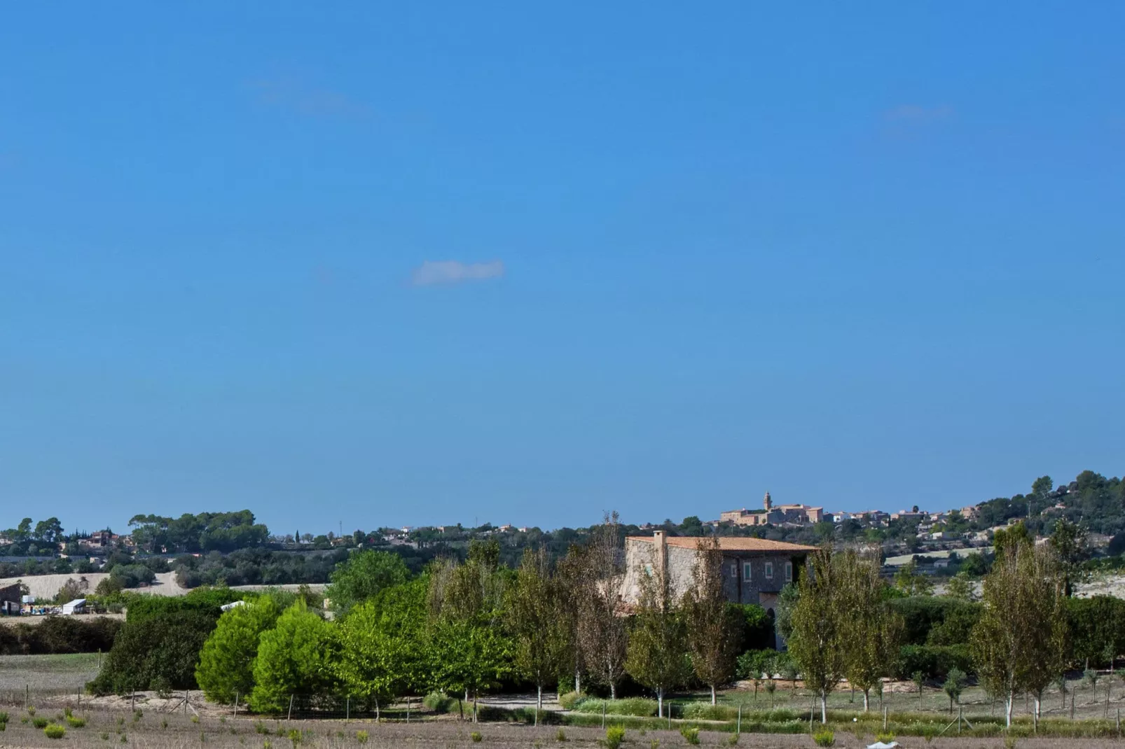 Llevant-View summer