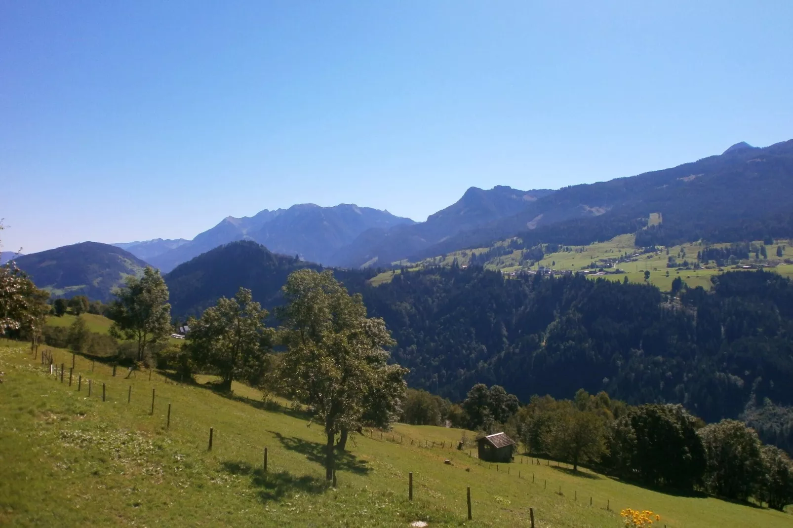 Reiterbauer-View summer