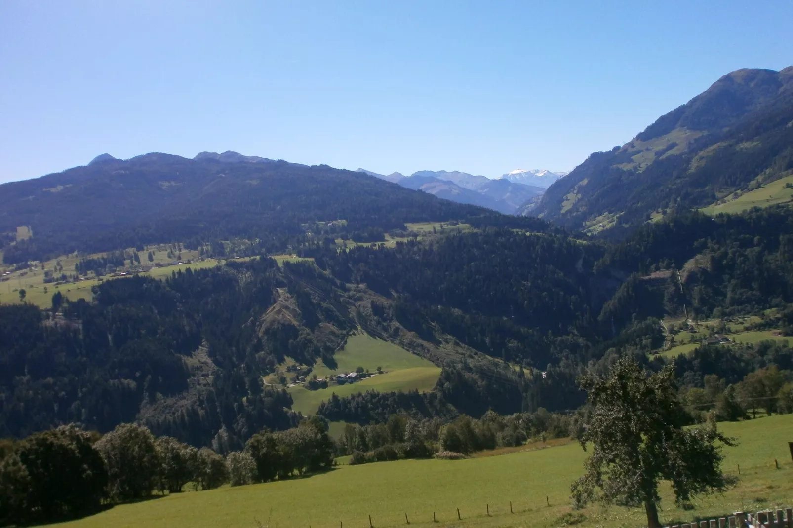 Reiterbauer-View summer