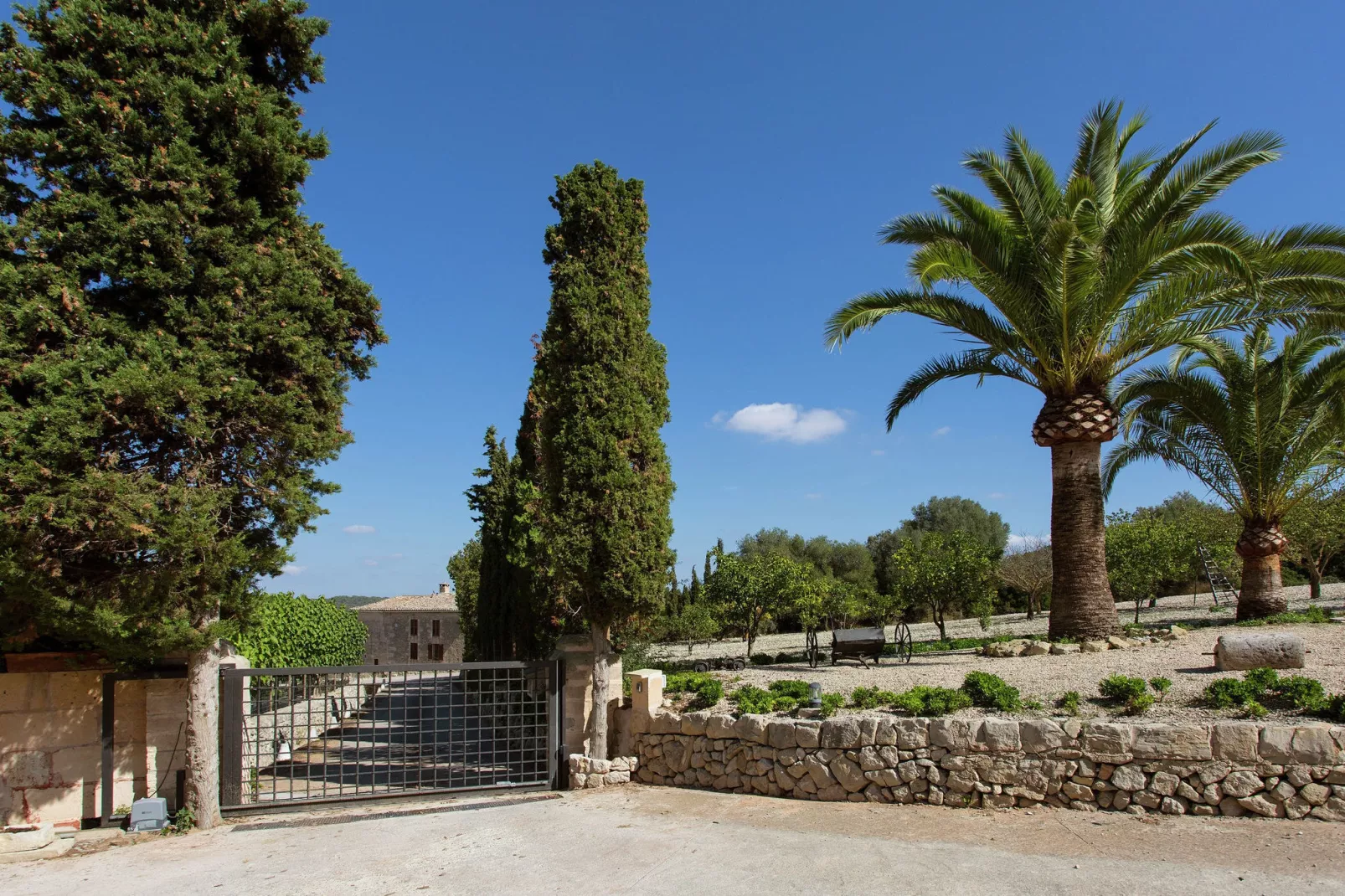 Llevant-Gardens summer