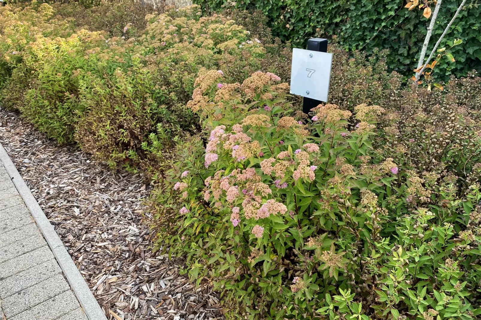 Duinengolf 7-Gardens summer