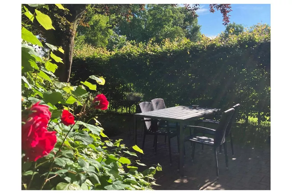 389318-Terrassenbalkon