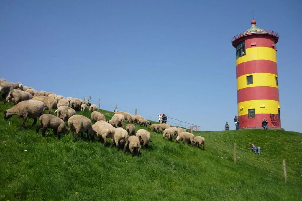 293128-Nicht getaggt