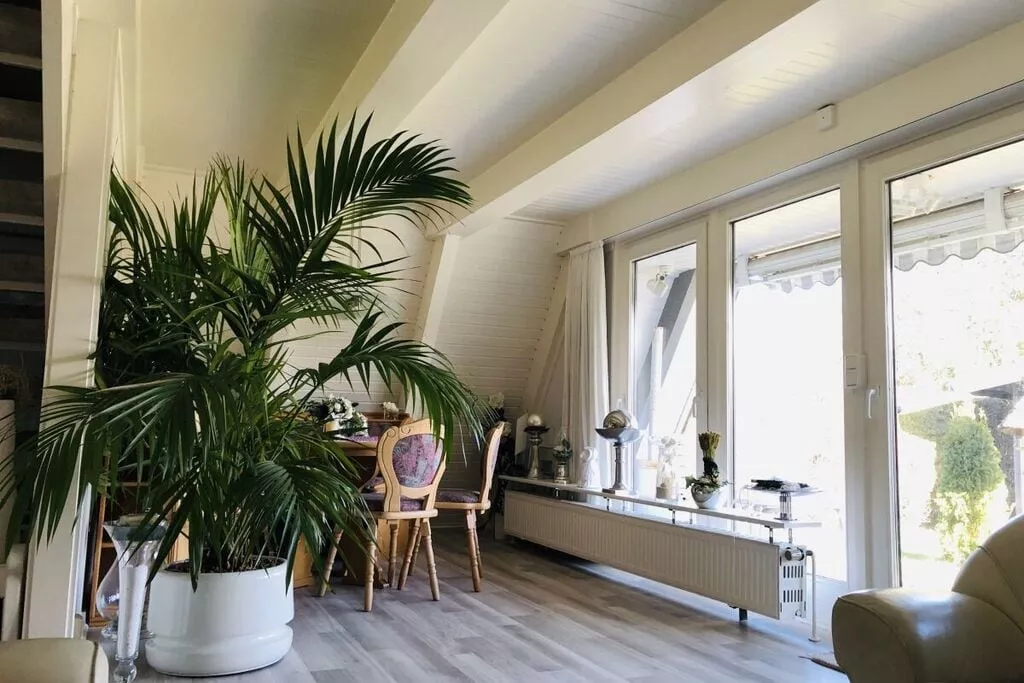 325588-Dining room