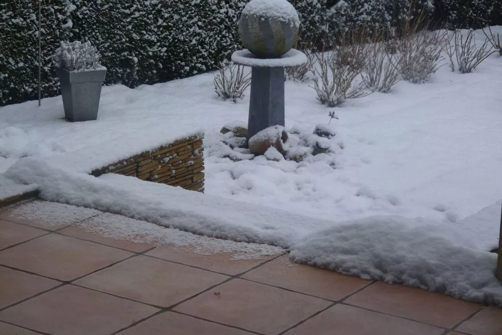 181088-Garden winter