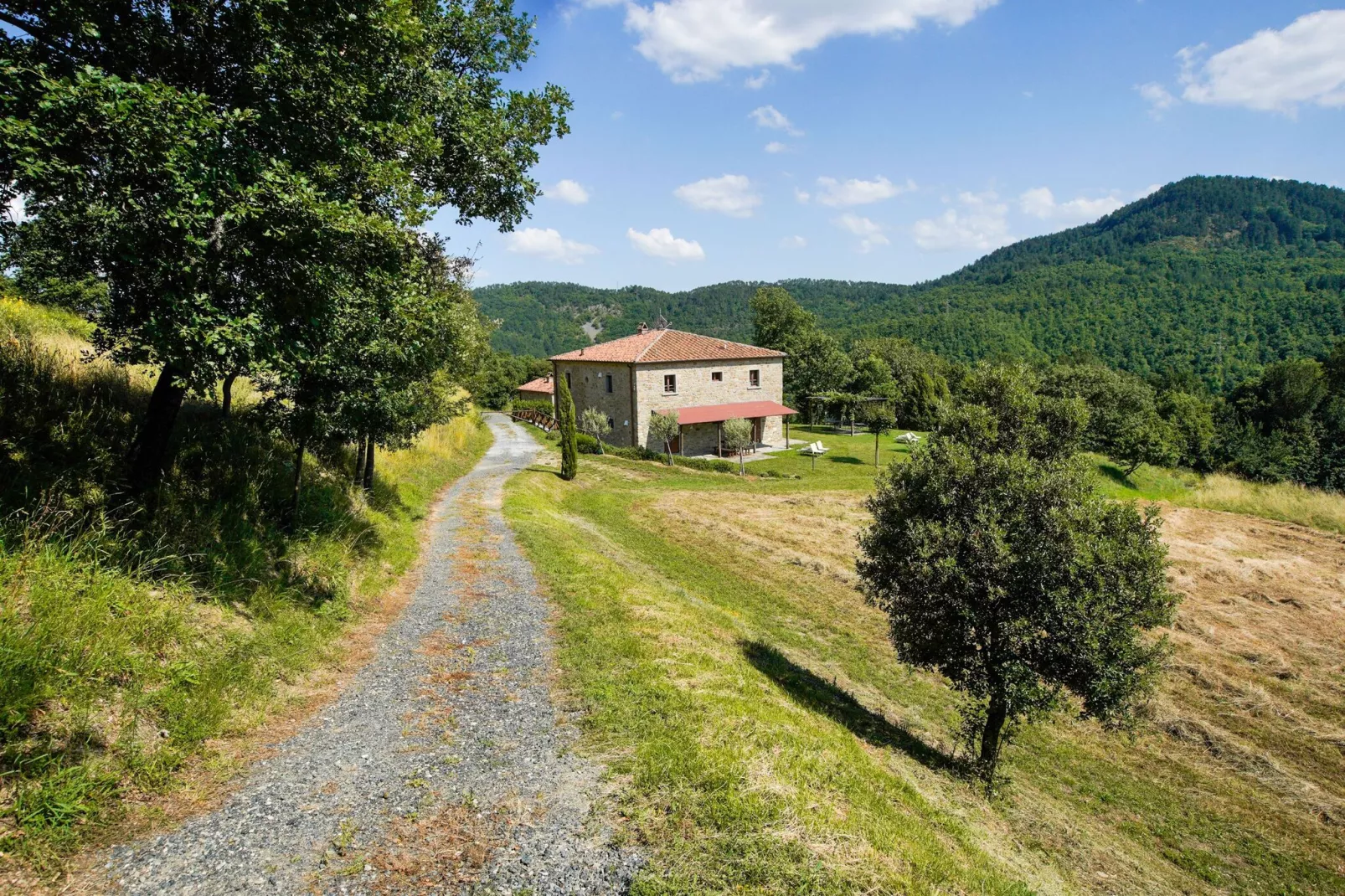 Ginepro-Areas summer 1km