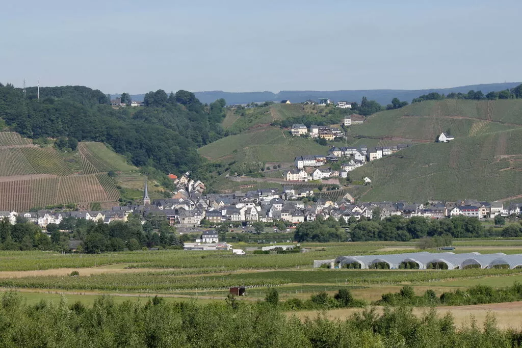 181482-Areas summer 5km