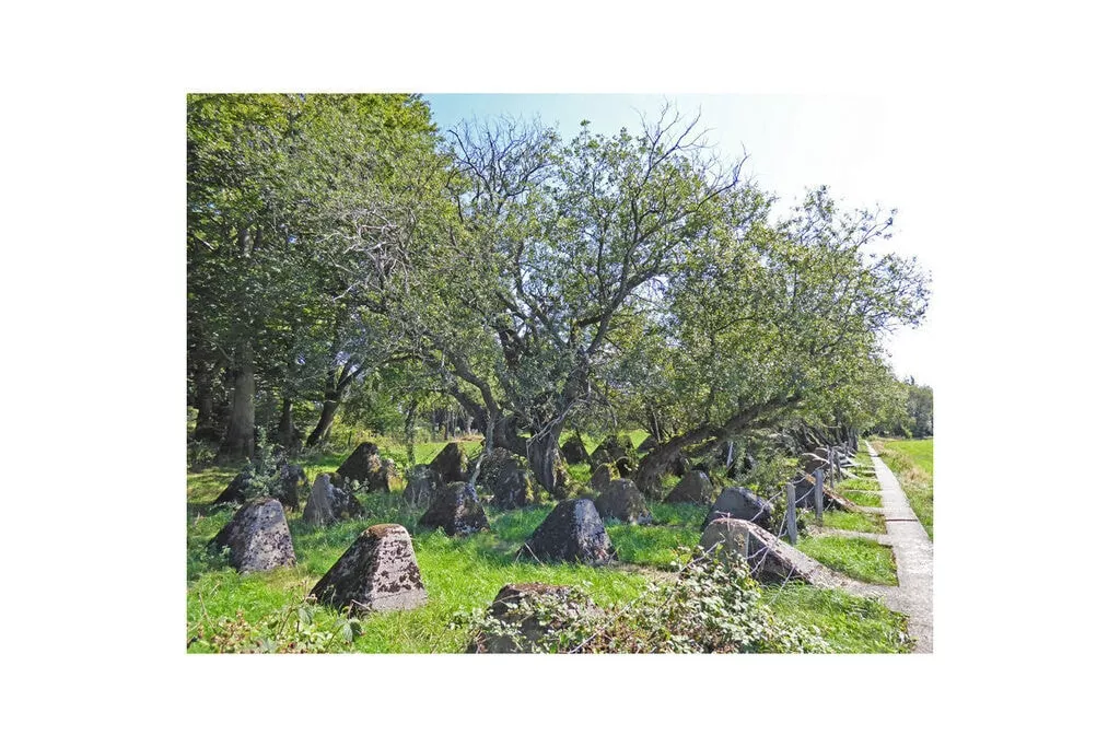 456354-Non étiqueté