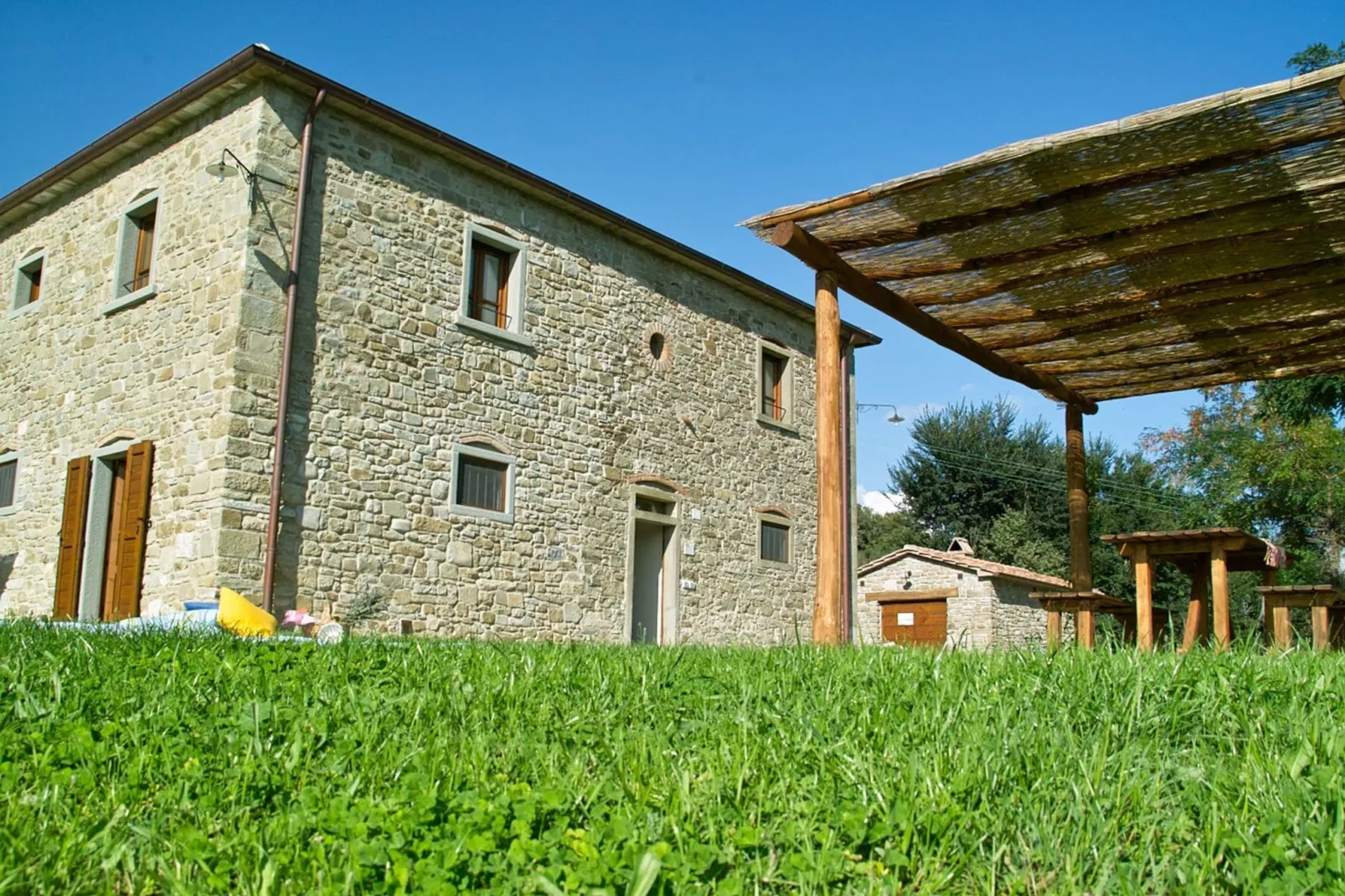 Ginepro-Exterior summer