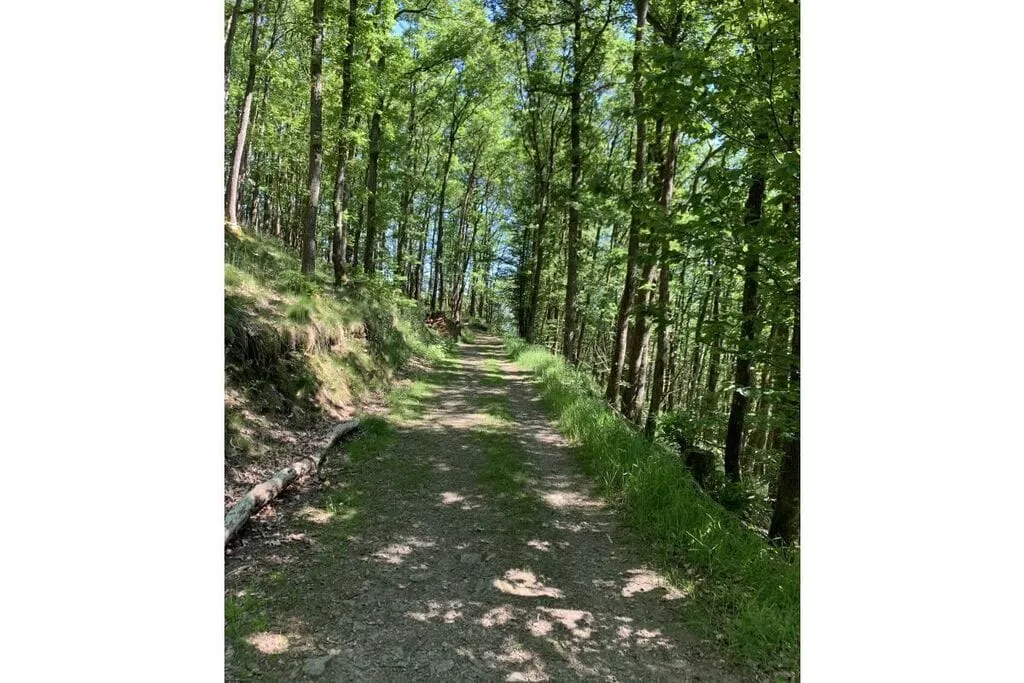 297573-Areas summer 5km
