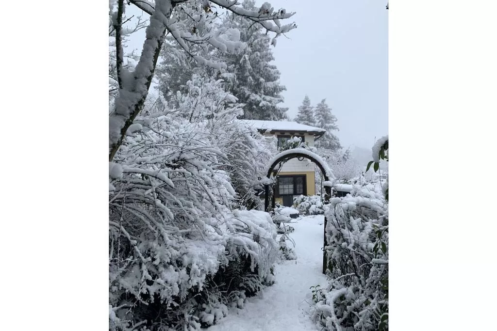 297573-Exterior winter