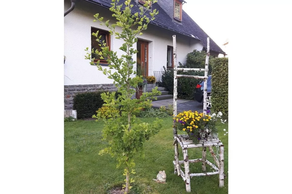 184923-Gardens summer