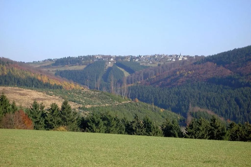 49650-Areas summer 20km