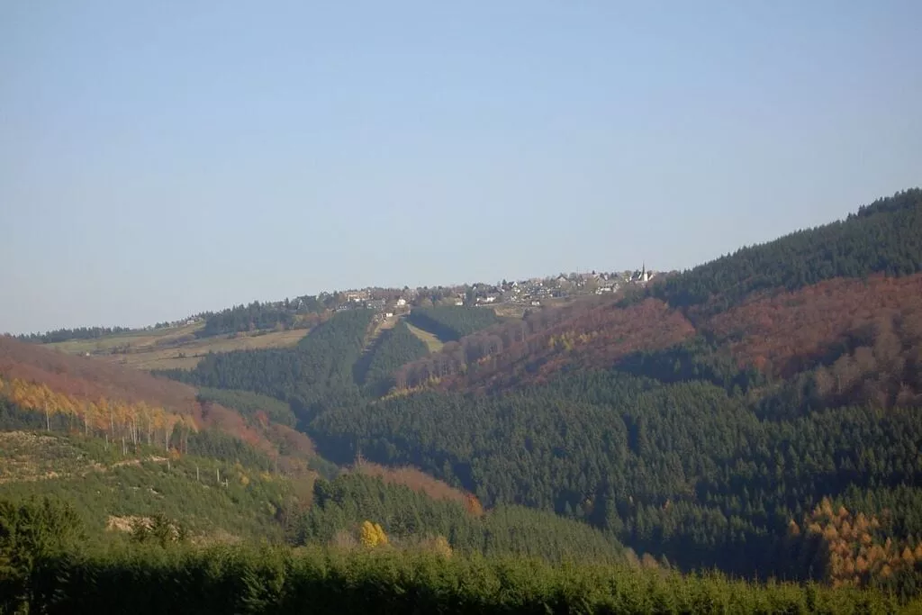 49650-Areas summer 20km