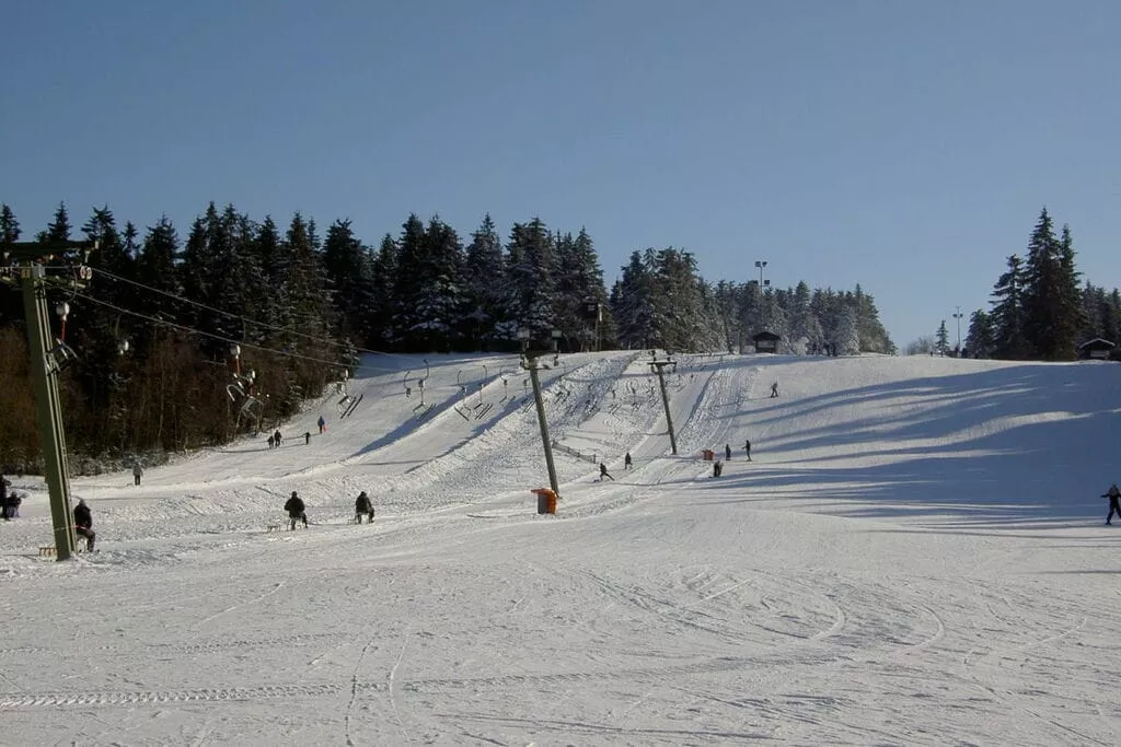 49650-Area winter 5km