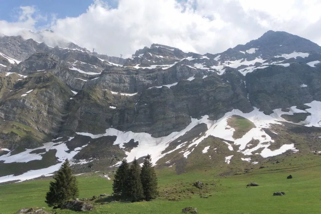 224463-Areas summer 5km