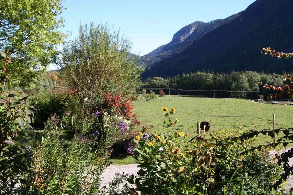 322775-Gardens summer