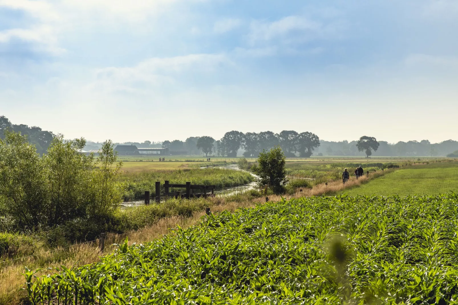 Vakantiepark Mölke 32-Areas summer 1km