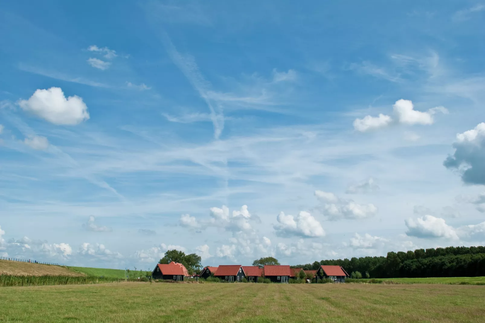 Recreatiepark de Stelhoeve 5-Areas summer 1km